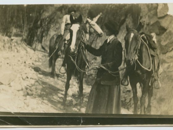 Photo 1 780x4682 2