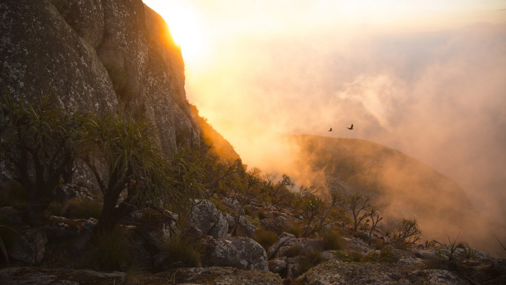 Lost Mountain Film Project, Day 4, scenic, Mt. Mulanje, Malawi