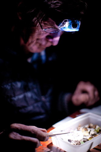 Lost Mountain Film Project, Ray Murphy - "Old Man Ray", Day 5, Forest science,