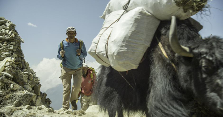 Sherpa