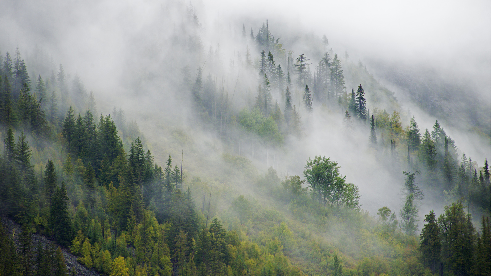 Near Jumbo Pass in fall; photo taken on the Glacier Creek side (West Kootenay)