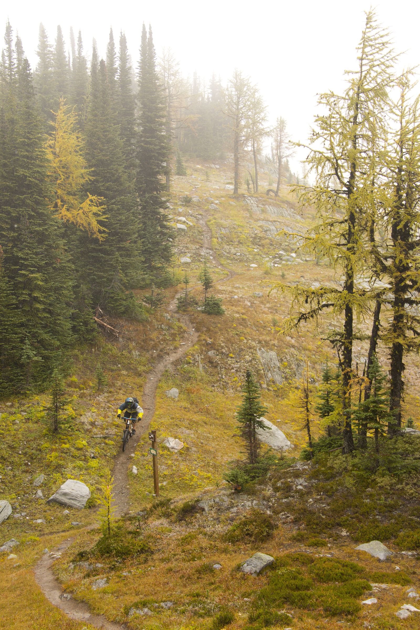 Jared Dyck at Jumbo Pass, BC; this is the exact pass at that signpost. Viewer's left goes to Nelson, viewer's right goes to Invermere. Other images (horizontal) available.