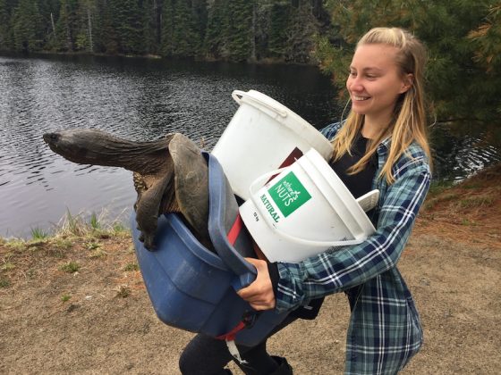 Where-the-Wild-Things-Are-student-carrying-snapping-turtle-Leslie-Anthony
