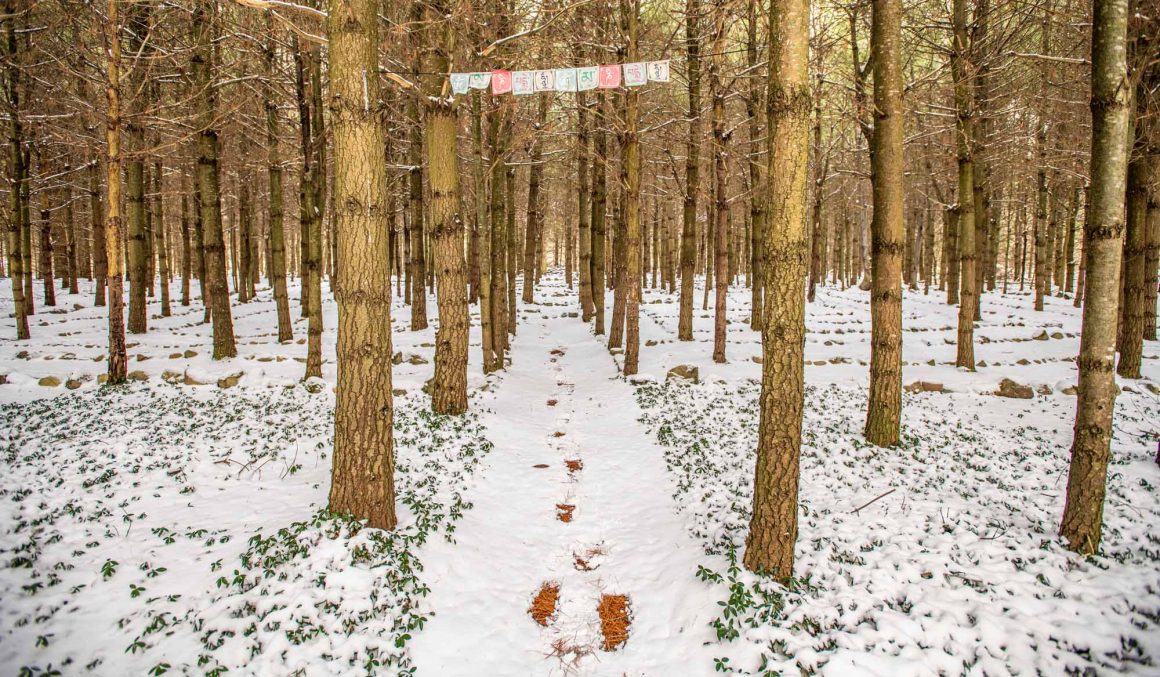 The-Last-Best-Place-Backyard-Exploration-in-a-Pandemic-footprints-in-snow-photo-by-Kristin-Schnelten