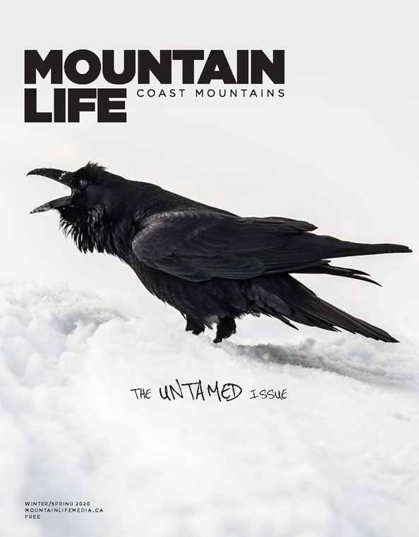 2020 Mountain Life Coast MountainsLateWinter