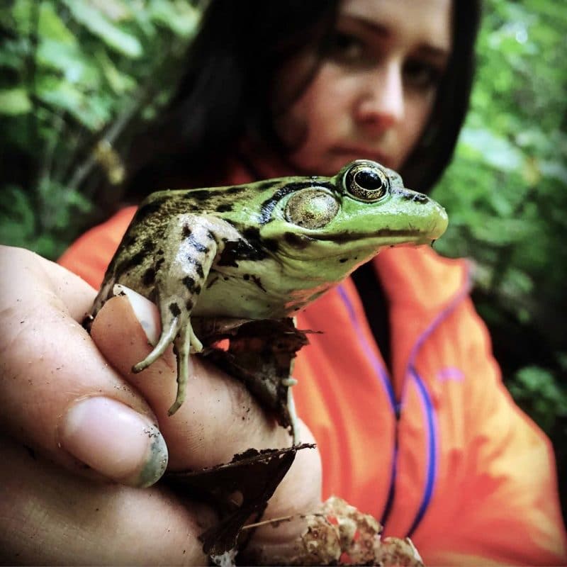 Putting Things Right How Pandemic Reveals Dependence Nature Leslie Anthony photo woman holding frog 1536x1536 1