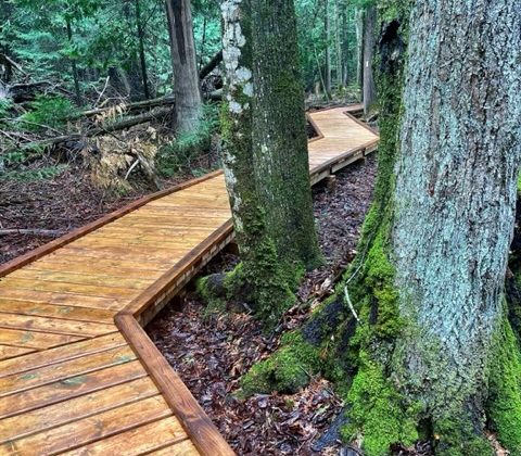 Hoggs-Falls-boardwalk-Beaver-Valley-BruceTrail-2