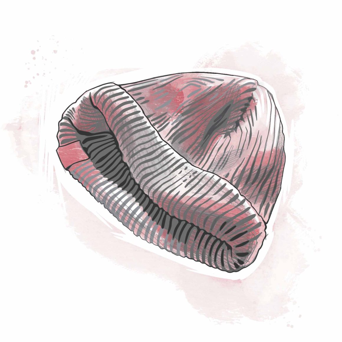 Untitled Artwork