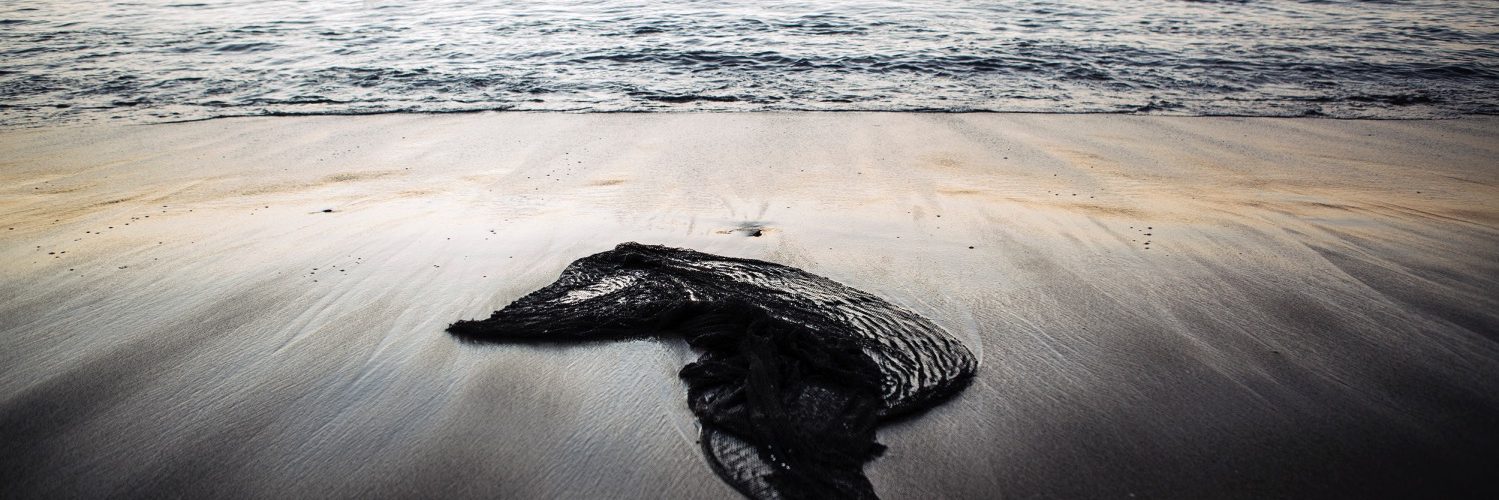 Bureo-net-pollution-ocean