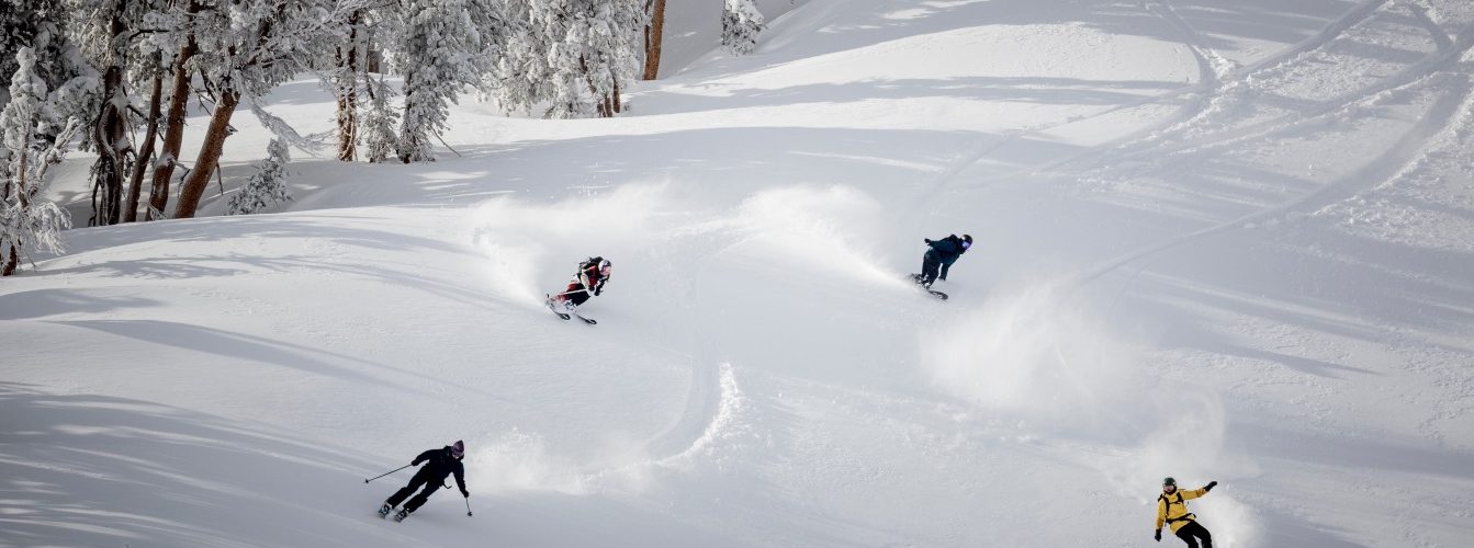 Arc-Tahoe_Blatt-Arc'teryx-CONTINUUM