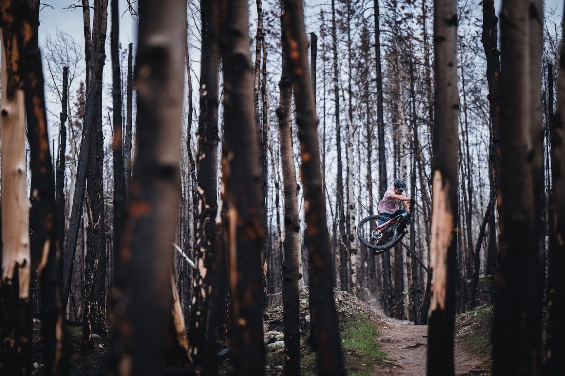 Jasper wildfire forest mountain biking