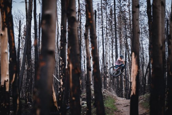 Jasper wildfire forest mountain biking