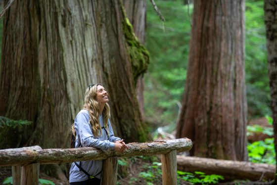 A woman on a boardwalk near Whistler, BC, looking at old growth trees.