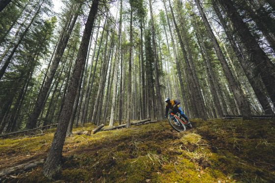 mountain bike trails near Nordegg, AB