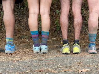 Point6 Merino wool socks