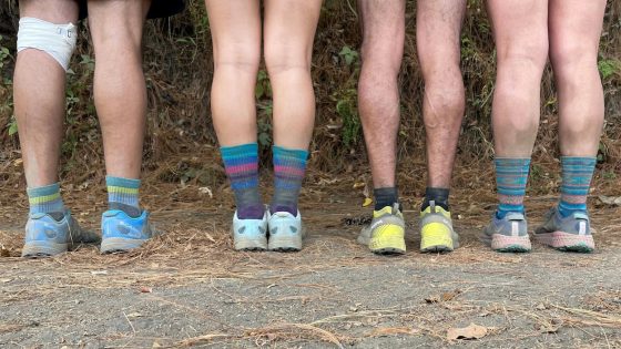 Point6 Merino wool socks