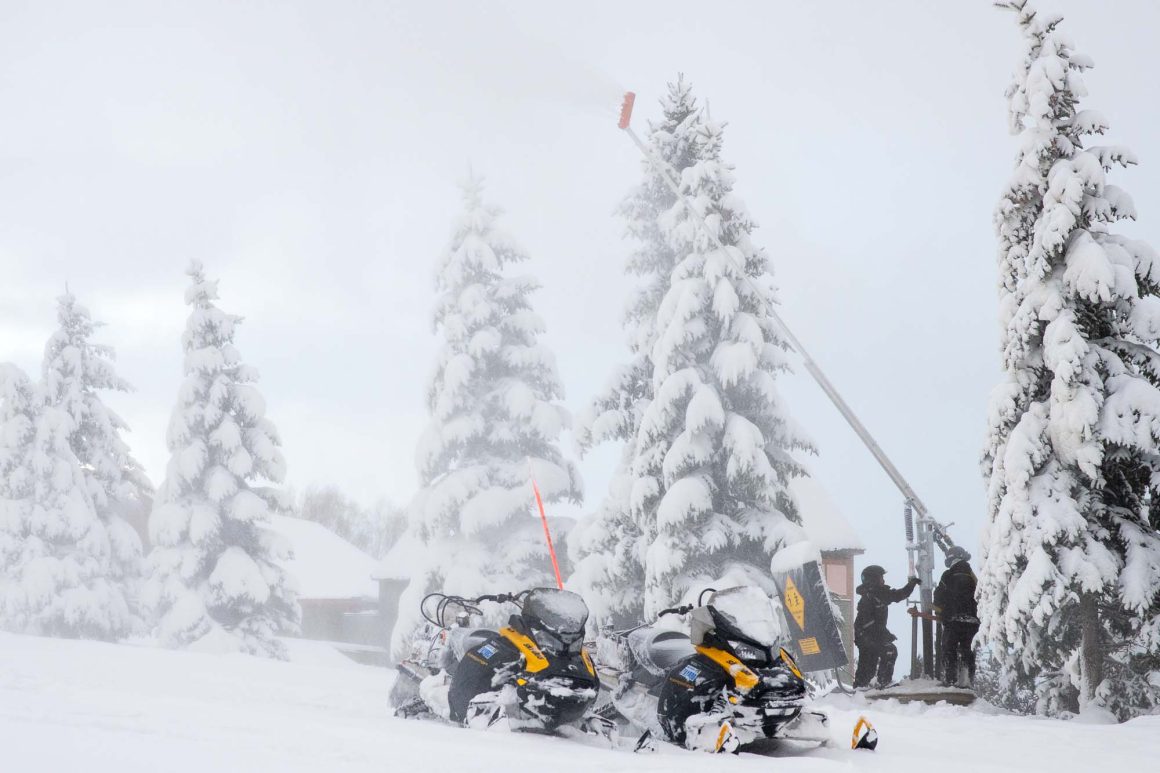 snowmaking at Blue Mountain resort, Ontario. Snowy trees