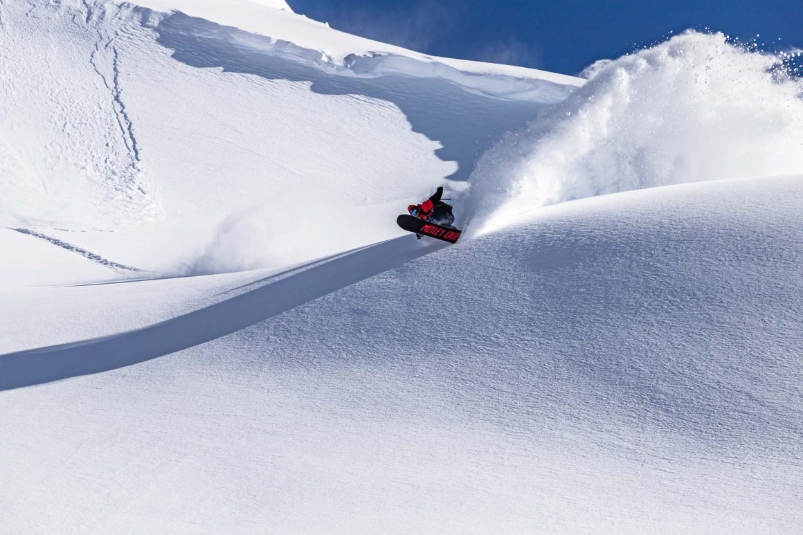 GALLANT ROOST MOTLEY NOCROP 1 of 1