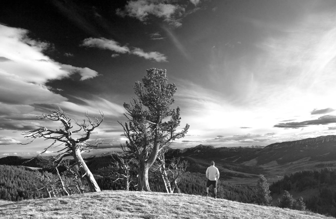 man admiring view from whaleback ridge