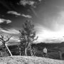 man admiring view from whaleback ridge