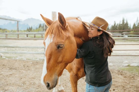 The medicine of horses, Alberta