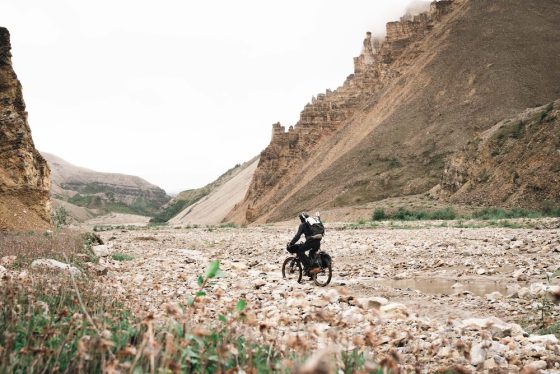 Credits Louise Philipovitch 3