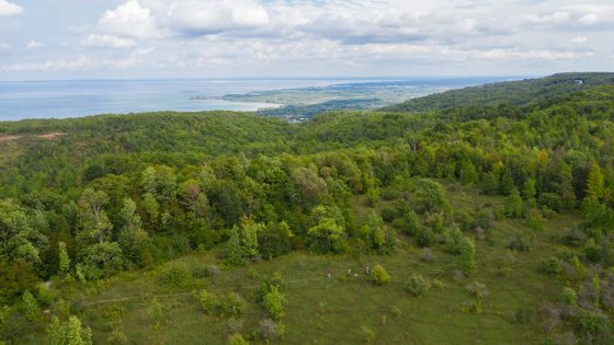 Drone view of mountain bikers at Loree Forest near Blue Mountain Ontario