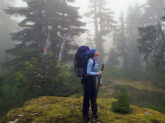 Hiker standing on the Sunshine Coast Trail