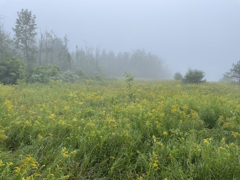 Escarpment Corridor Alliance Black Bank Highlands 2