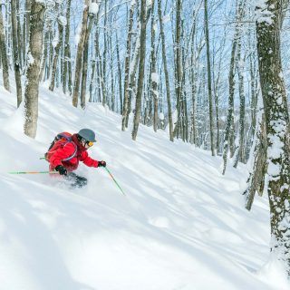 Will Tam Backcountry Feb 2025 hi res 4